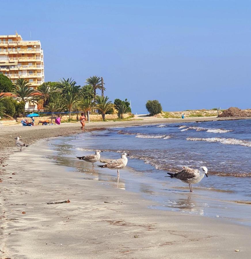 Sunflower Residence First Line By The Sea Santa Pola Bagian luar foto